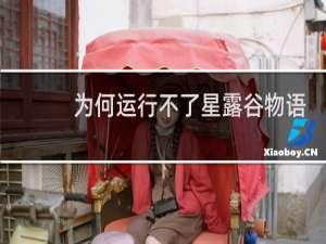 为何运行不了星露谷物语