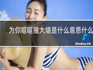 为你哐哐撞大墙是什么意思什么梗