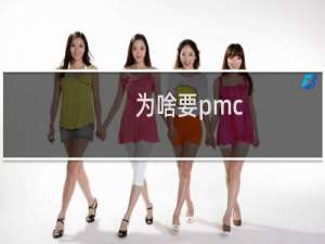 为啥要pmc
