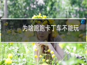 为啥跑跑卡丁车不能玩