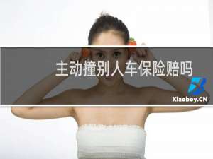 主动撞别人车保险赔吗