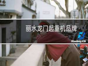 丽水龙门起重机品牌