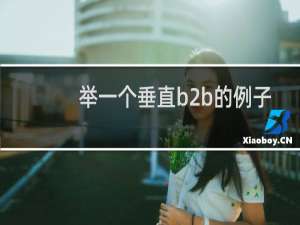 举一个垂直b2b的例子