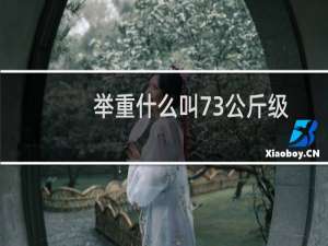 举重什么叫73公斤级
