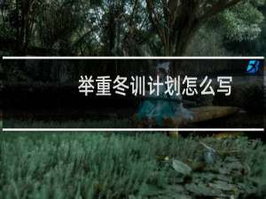 举重冬训计划怎么写