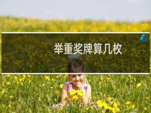 举重奖牌算几枚