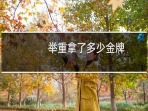 举重拿了多少金牌