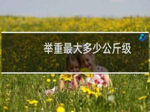 举重最大多少公斤级