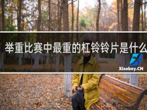 举重比赛中最重的杠铃铃片是什么颜色