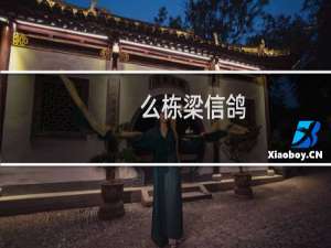 么栋梁信鸽
