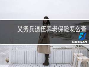 义务兵退伍养老保险怎么查