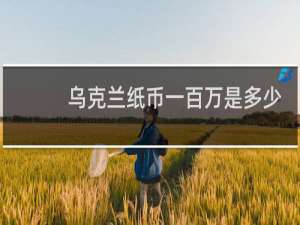 乌克兰纸币一百万是多少