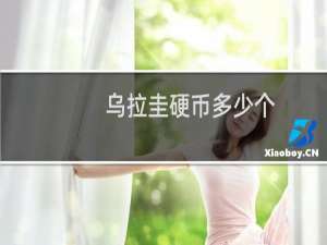 乌拉圭硬币多少个