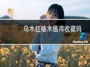 乌木红椿木值得收藏吗