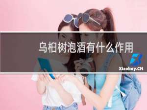 乌桕树泡酒有什么作用