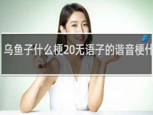 乌鱼子什么梗 无语子的谐音梗什么梗