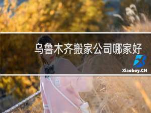 乌鲁木齐搬家公司哪家好