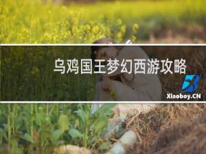 乌鸡国王梦幻西游攻略