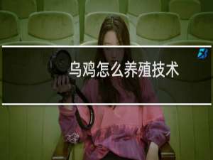 乌鸡怎么养殖技术