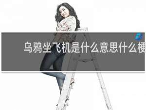 乌鸦坐飞机是什么意思什么梗