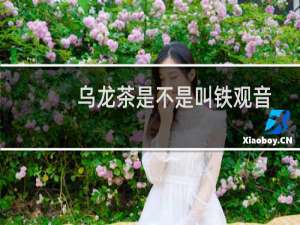 乌龙茶是不是叫铁观音