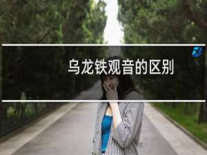 乌龙铁观音的区别