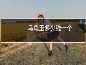 乌龟玉多少钱一个