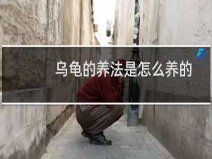 乌龟的养法是怎么养的