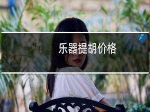 乐器提胡价格