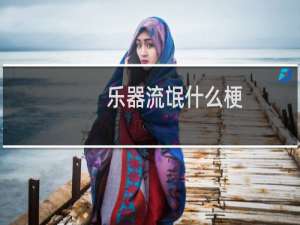 乐器流氓什么梗
