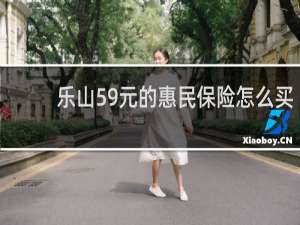 乐山59元的惠民保险怎么买