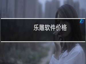 乐雕软件价格