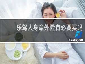 乐驾人身意外险有必要买吗