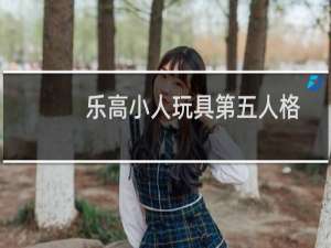 乐高小人玩具第五人格