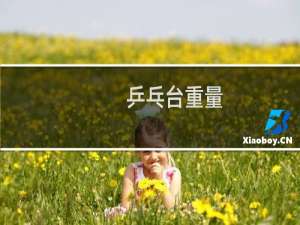 乒乓台重量