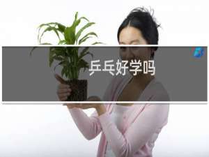 乒乓好学吗