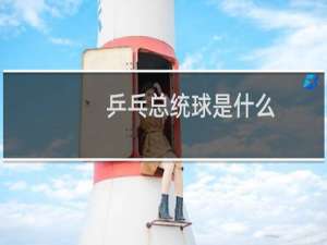 乒乓总统球是什么