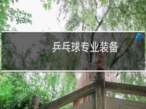 乒乓球专业装备