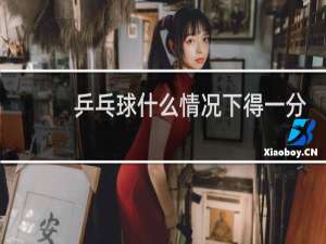 乒乓球什么情况下得一分