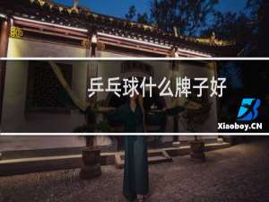 乒乓球什么牌子好