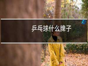 乒乓球什么牌子