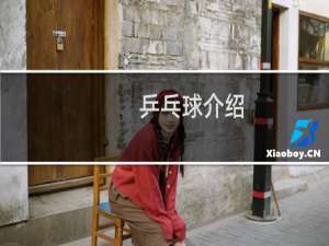 乒乓球介绍