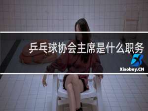 乒乓球协会主席是什么职务