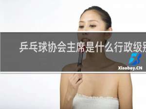 乒乓球协会主席是什么行政级别