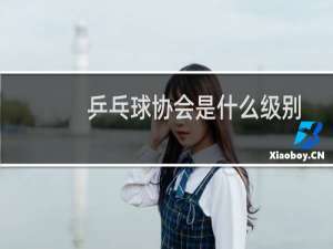 乒乓球协会是什么级别