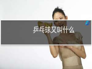 乒乓球又叫什么