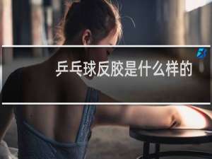 乒乓球反胶是什么样的