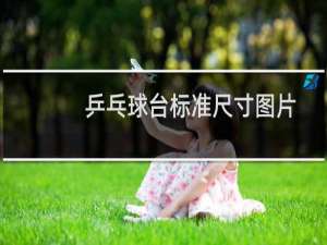 乒乓球台标准尺寸图片