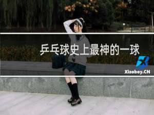 乒乓球史上最神的一球