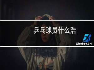 乒乓球员什么浩